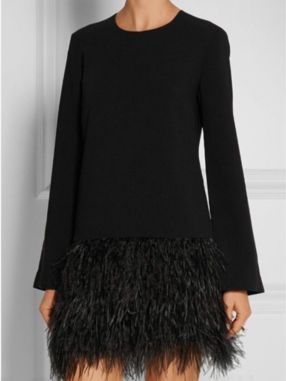 Elizabeth and James Ostrich Feather-Hem Long Sleeve Dress
